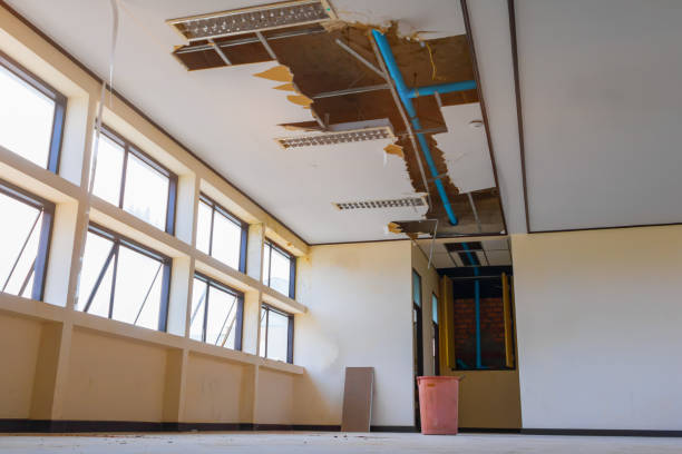 Best Commercial water damage restoration  in Grayslake, IL