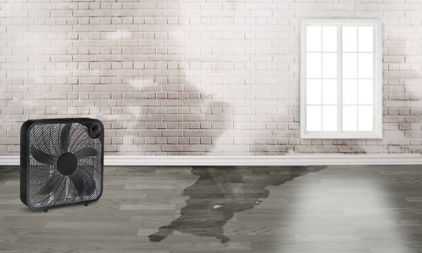 Best Water damage restoration near me  in Grayslake, IL