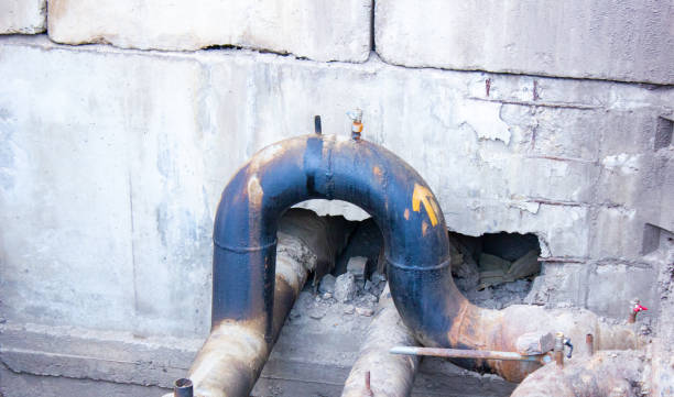 Best Local water damage restoration  in Grayslake, IL